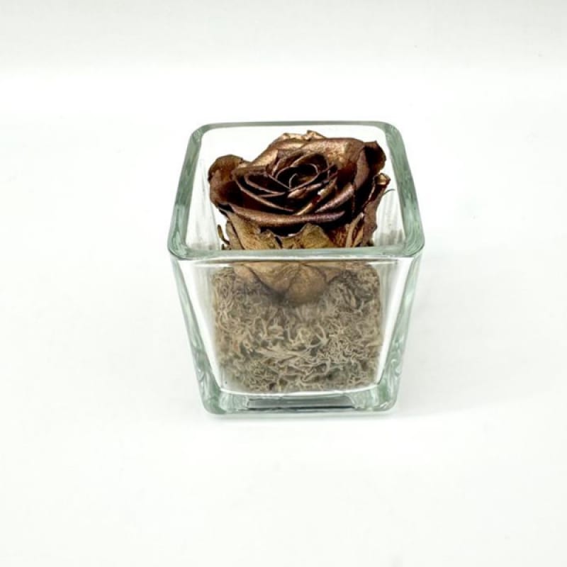 Mini Bronze C